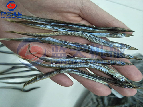 魚干烘干機(jī)烘干現(xiàn)場(chǎng)